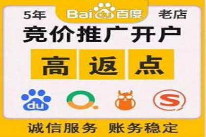 竞价排名中的数据分析和优化案例